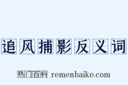 追风捕影反义词是什么意思的图片